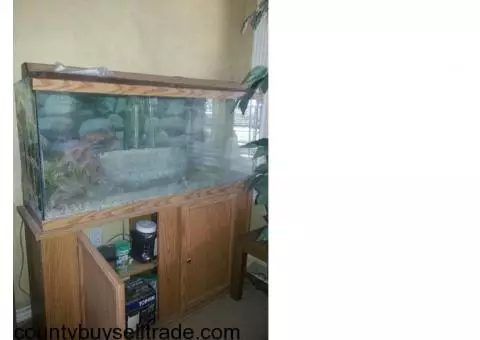 50 gallon fish tank with oak cabinet
